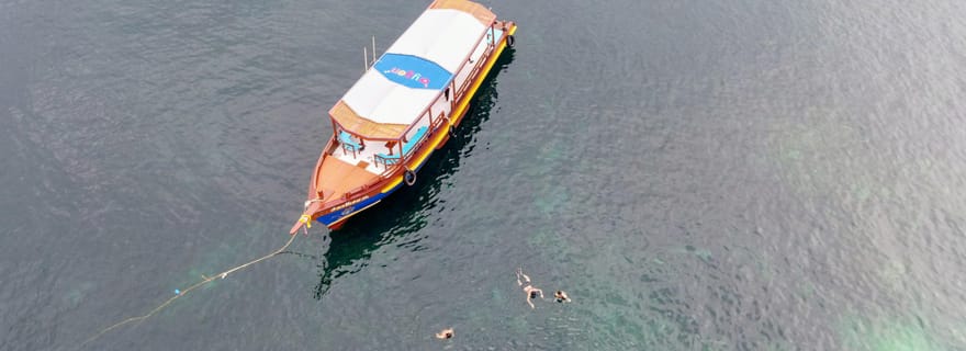 Koh Tao : aventure de plongée avec tuba à l'aube avec Oxygen Tours