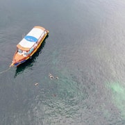 Koh Tao: First Light Snorkel Adventure with Oxygen Tours