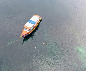 Koh Tao: First Light Snorkel Adventure med Oxygen Tours