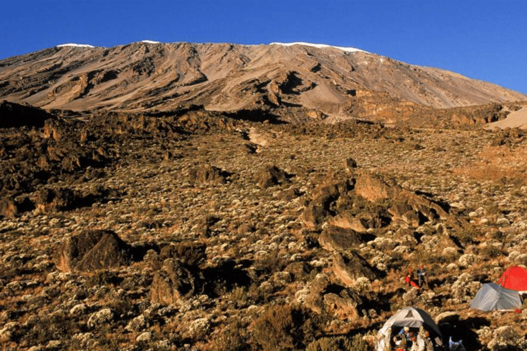 莫希：乞力马扎罗山马兰古路线 2 日徒步