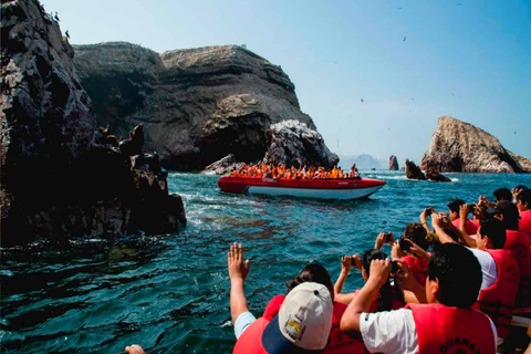 Da Lima: tour di un giorno di Paracas, Ica e Huacachina