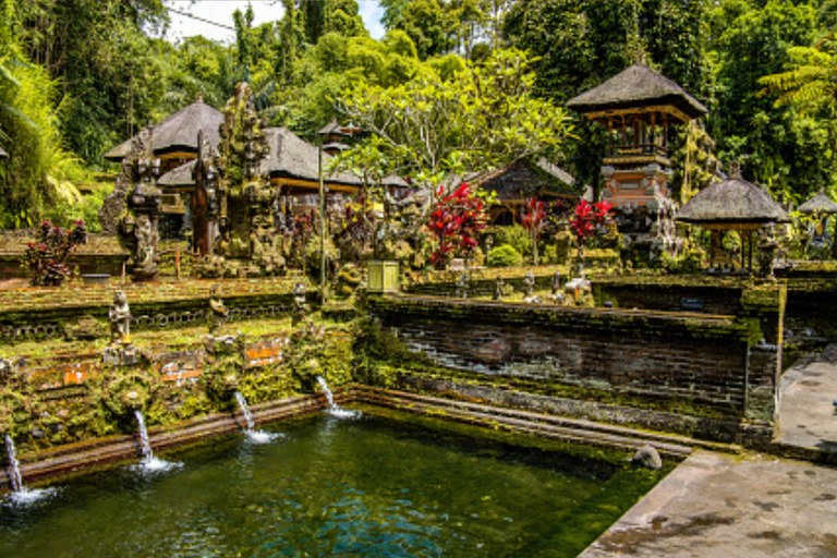 Bali: All-Inclusive Ubud Highlights Tour
