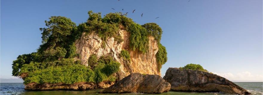 Parc national de Los Haitises : Tour en bateau avec visite des grottes