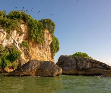 Parco Nazionale Los Haitises: Tour in barca con visita alle grotte