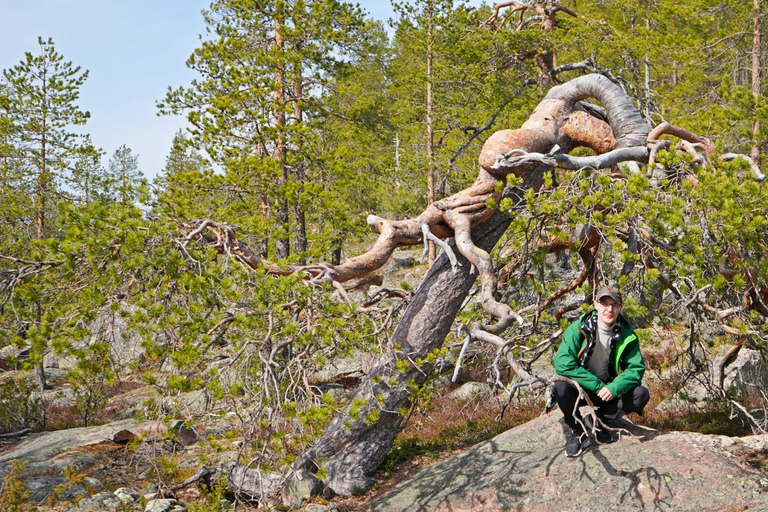 Rovaniemi: Övertorneå e a colina Aavasaksa. História e natureza