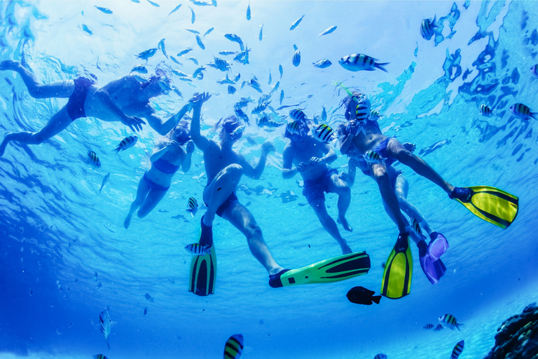 Puerto del Carmen: Tour in motoscafo con nuoto per osservare i delfiniLanzarote: minicrociera con avvistamento di delfini