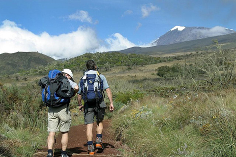 Aventure au sommet : Excursion d&#039;une journée au Mont Kilimandjaro