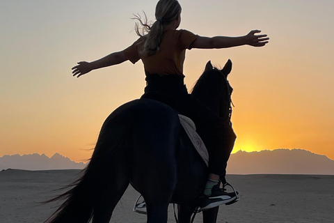 Soma Bay: Reittour mit HoteltransferSoma Bay: Reittour ohne Hoteltransfer