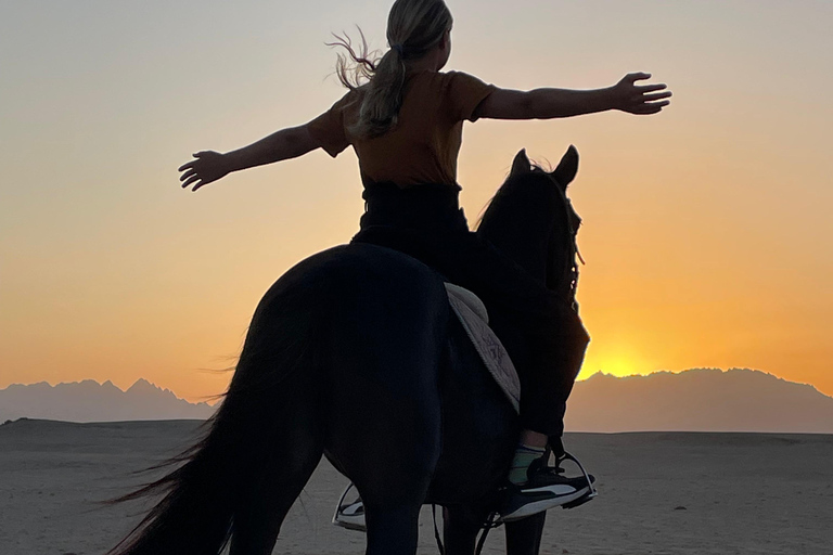 Soma Bay: Reittour mit HoteltransferSoma Bay: Reittour ohne Hoteltransfer