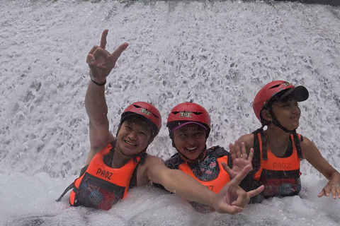 Cebu: Oslob valhajsskådning Canyoneering privat upphämtning