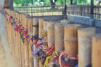 Monkey Mad Phnom Penh S21 y Killing Fields Tour - Housity