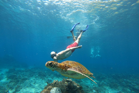 From Bali: Explore West Nusa Penida with Snorkeling From Bali: Nusa Penida West Highlights with Snorkeling