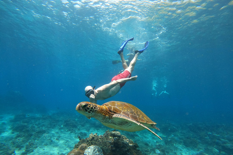 From Bali: Explore West Nusa Penida with Snorkeling From Bali: Nusa Penida West Highlights with Snorkeling