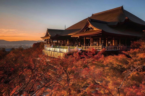 Kyoto: Full-Day Private Vehicle Tour with Guide