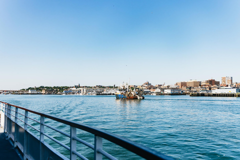 Portland: panoramische cruise langs de vuurtoren van Maine