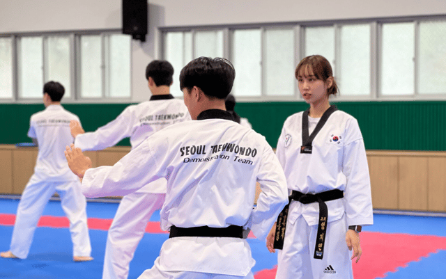 Seoul: Taekwondo Experience with National Champion