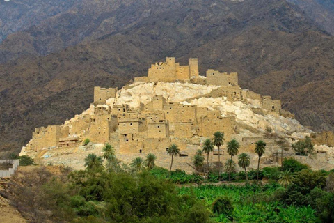 Depuis la Mecque ou Jeddah : Montagnes de Taif et excursion d&#039;une journée