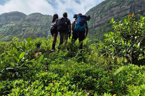 Kandy: Hidden Highlands Nature Walk