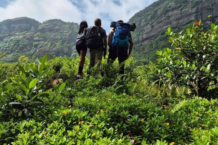 Kandy: Hidden Highlands Nature Walk