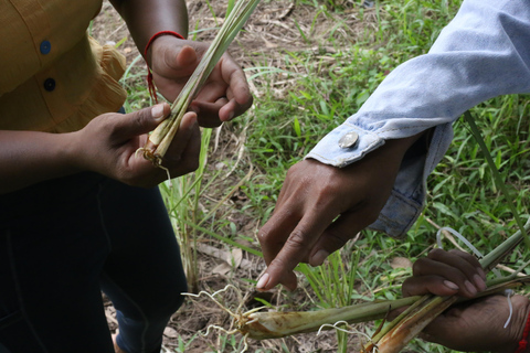 Maak etherische olie met een dorpsherbalist in de buurt van Phnom PenhMaak etherische olie met een kruidendokter in een dorpje bij Phnom Penh