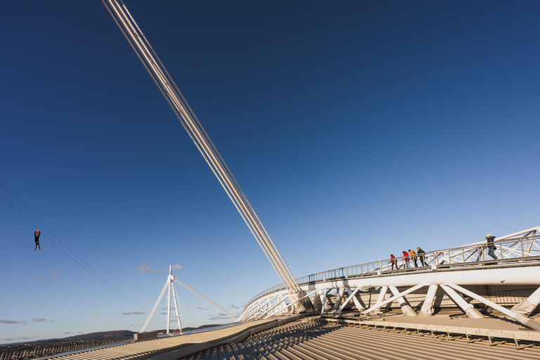 Cardiff: Principality Stadium Roof Walk Adult or Child