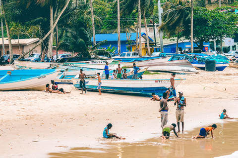 Tobago: Island Circle