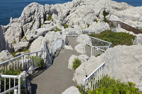 Wakayama: Hidden Coastal Nature & Sunset Tour From Osaka