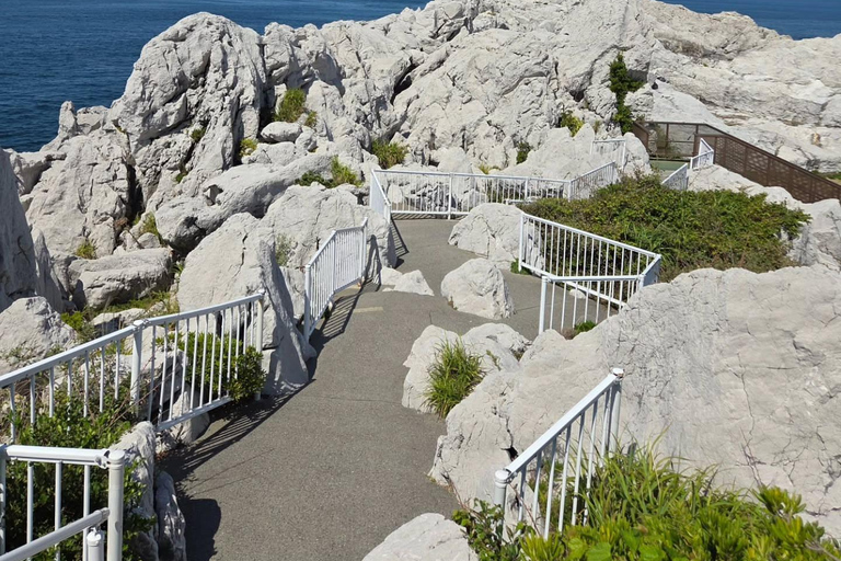 Wakayama: Hidden Coastal Nature & Sunset Tour From Osaka