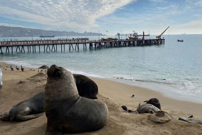 Santiago: Tour Viña Del Mar, Valparaíso, Casablanca y Reñaca