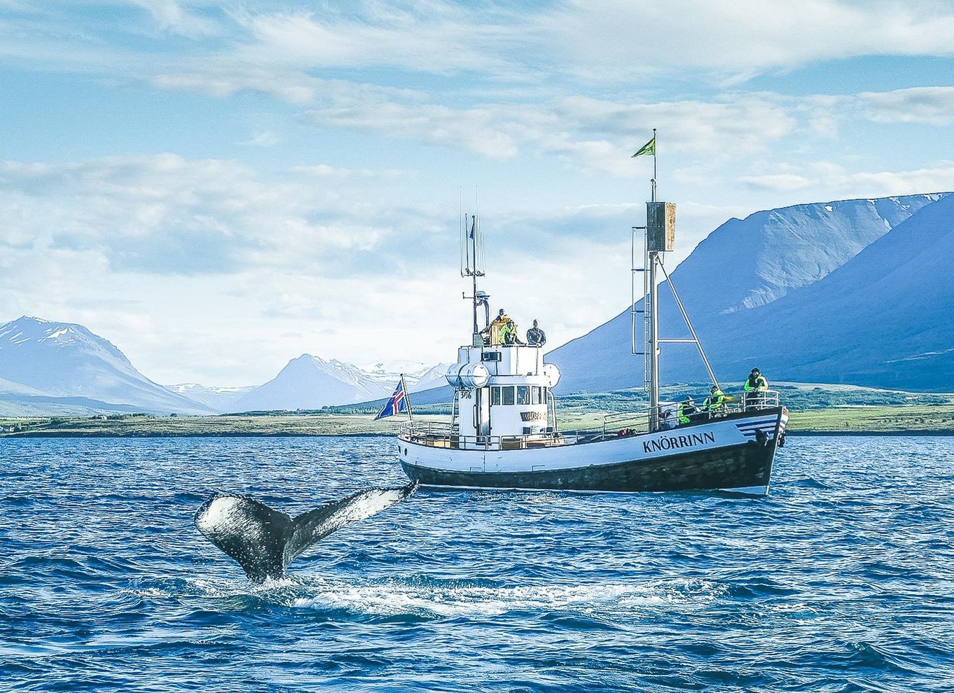 Árskógssandur: Bådtur for hvalsafari