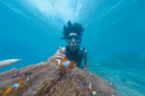 Sharm: Wycieczka morska na Białą Wyspę ze snorkelingiem, nurkowaniem i lunchemWspólna wycieczka z nurkowaniem, snorkelingiem i lunchem