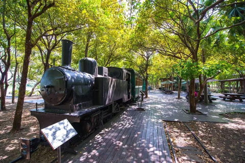 From Taipei to Yilan:Dolphins, Waves, and Whispering Trees 10-hour journey {four-seater business car}