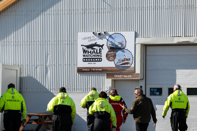 Hauganes: Observação de baleias no Norte da Islândia