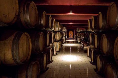 巴库：当地美食与葡萄酒品鉴之旅