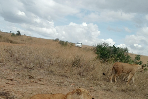 Parque Nacional do Lago Nakuru saindo de Nairóbi