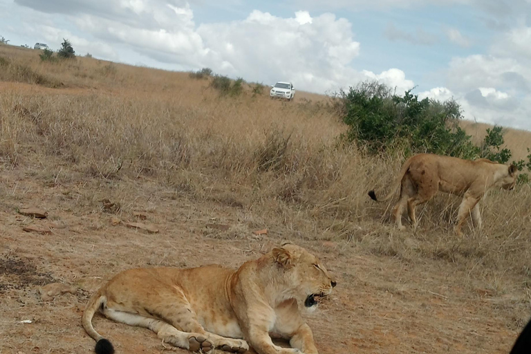 Nationaal park Lake Nakuru vanuit Nairobi