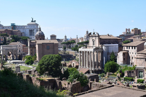 Rome: Colosseum Guided Tour