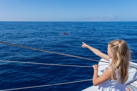 Costa Adeje: Whale Watching Tour with Food and Drinks Tour With Pickup