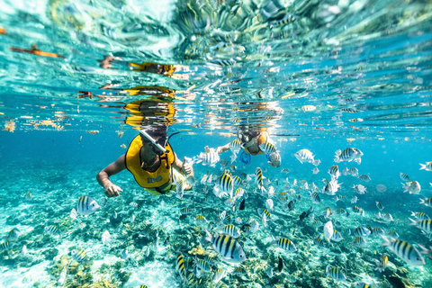 Experiência de barco 5 em 1 para mergulho com snorkel em Cancún