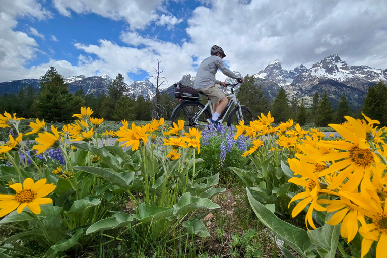 Grand Teton National Park: Guided E-Bike Wildlife Tour