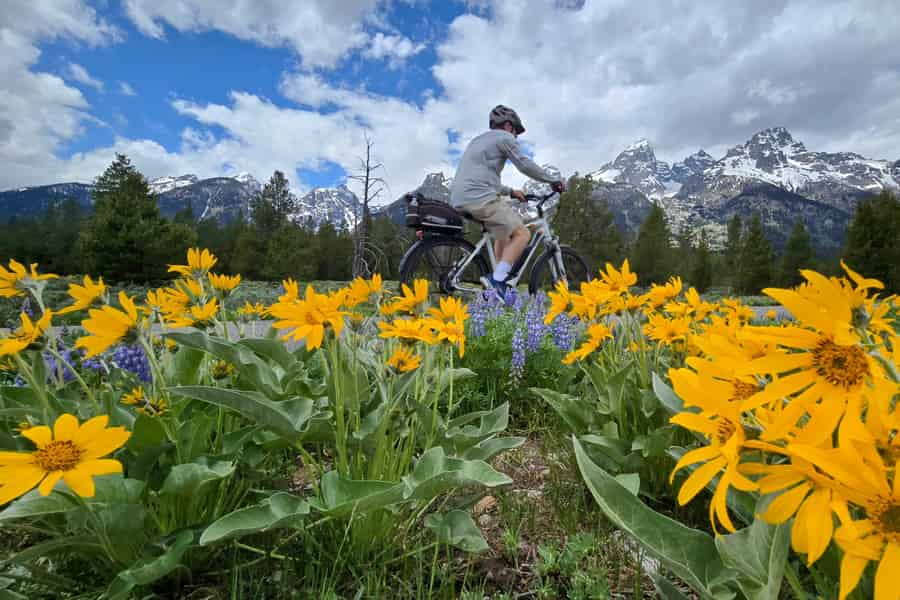 Grand-Teton-Nationalpark: Geführte Wildtier-Tour per E-Bike. Foto: GetYourGuide Grand-Teton-Nationalpark: Geführte Wildtier-Tour per E-Bike. Foto: GetYourGuide