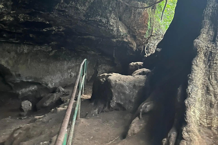 Nairobi: Karura Forest, Coffee, and Art Tour with Lunch Karura Forest Trecking With Bicycle Riding