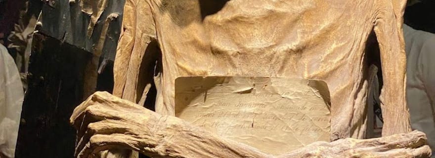 Guanajuato : Culture & History visite guidée privée - Excursion d'une journée