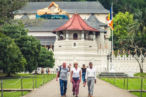 Kandy: Tour guiado privado por la ciudad en Tuk Tuk Sightseeing Tour