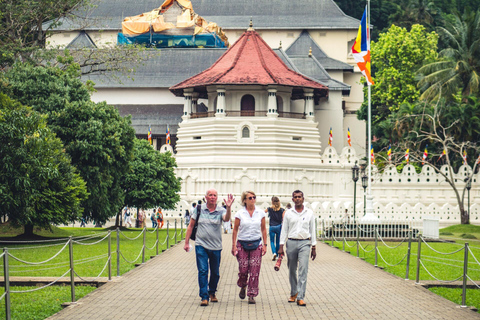 Kandy: Sightseeing Tour by Tuk Tuk Morning or Evening