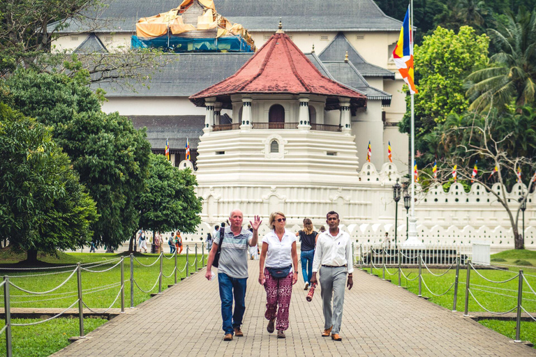 Kandy: Sightseeing Tour by Tuk Tuk Morning or Evening