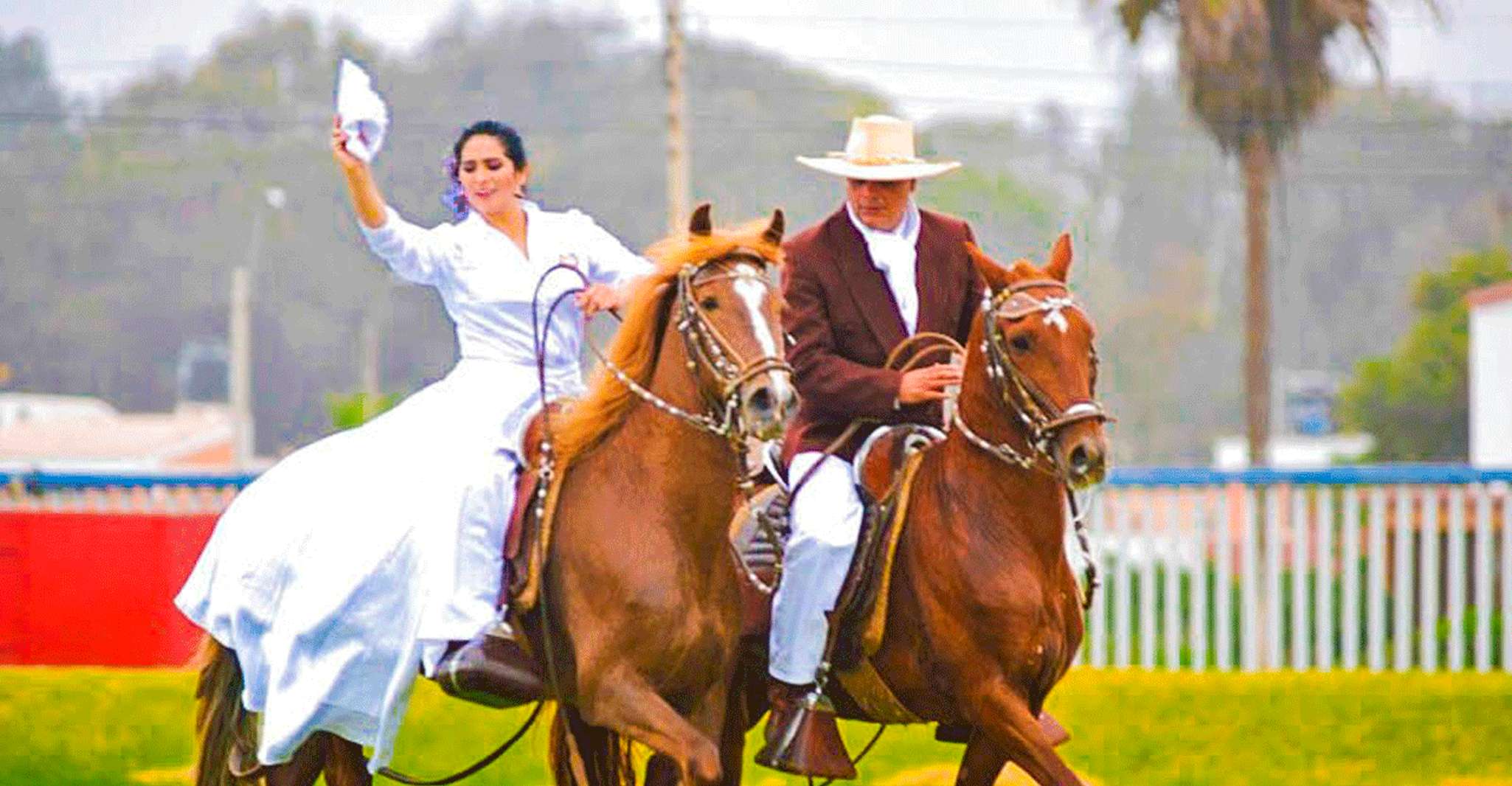 Van Trujillo, volle dag met paso paarden en matrozen show - Hizvo