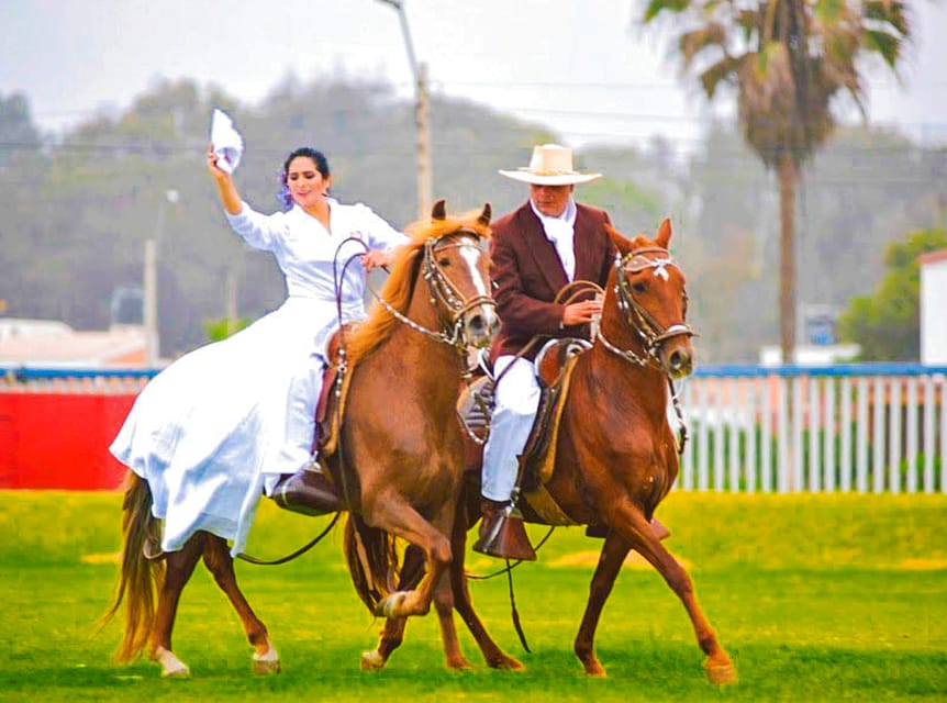 Van Trujillo, volle dag met paso paarden en matrozen show - Hizvo