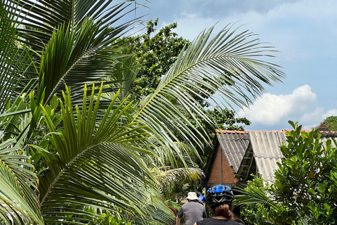 2-Day Mekong Delta Private Tour: Vinh Long, Can Tho &amp; Sa Dec