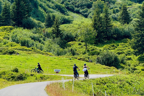 جولة بدراجة كهربائية في وادي روزنلاوي من إنترلاكن
